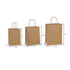 GB6196 Kraft Paper Gift Bag With Handle